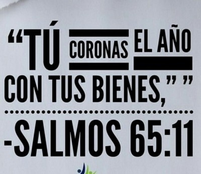 Coronar El Año Con Bondad